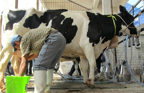 La cadena de la leche y el vino, las más afectadas durante 2018