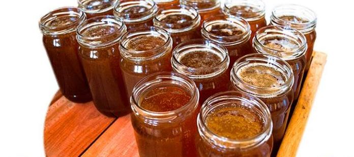 La miel santiagueña se sumaría al trigo, maíz y cebolla que se exporta a Brasil