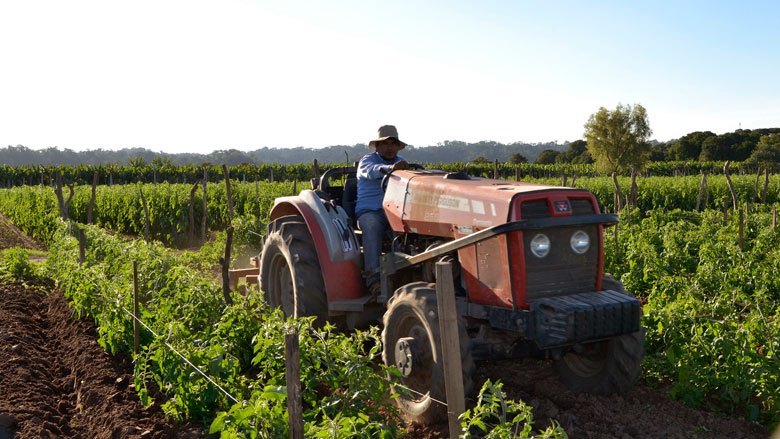 "El campo no produce inflación"