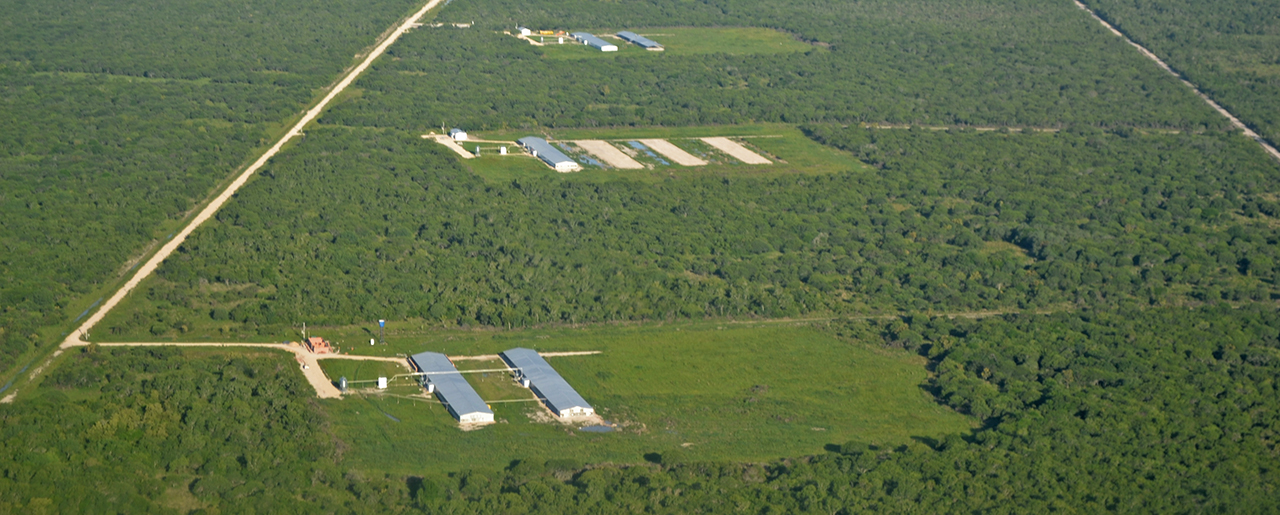 Preocupación en la Cooperativa Agrícola Avellaneda por la aparición de cheques truchos