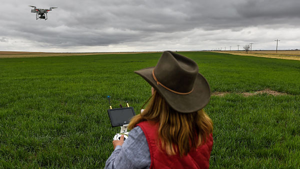 Las cooperativas agrarias se modernizan
