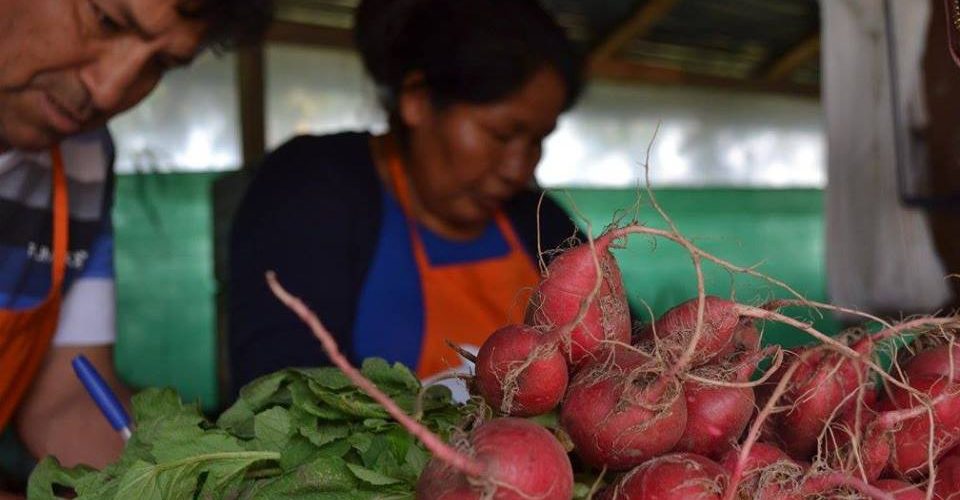 Consumidores y comercializadoras piden políticas públicas para aplicar la Emergencia Alimentaria