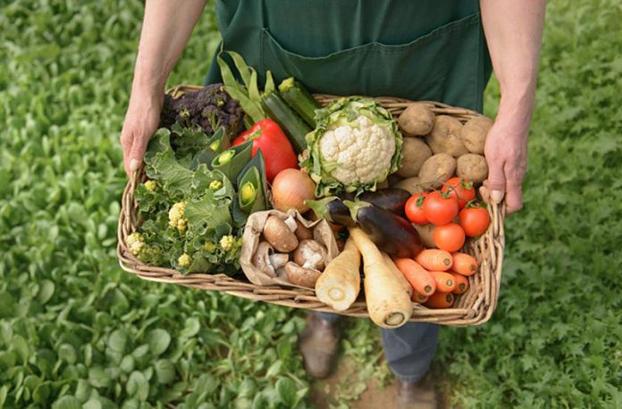 Es hora de Soberanía Alimentaria