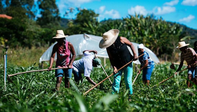 Soberanía Alimentaria