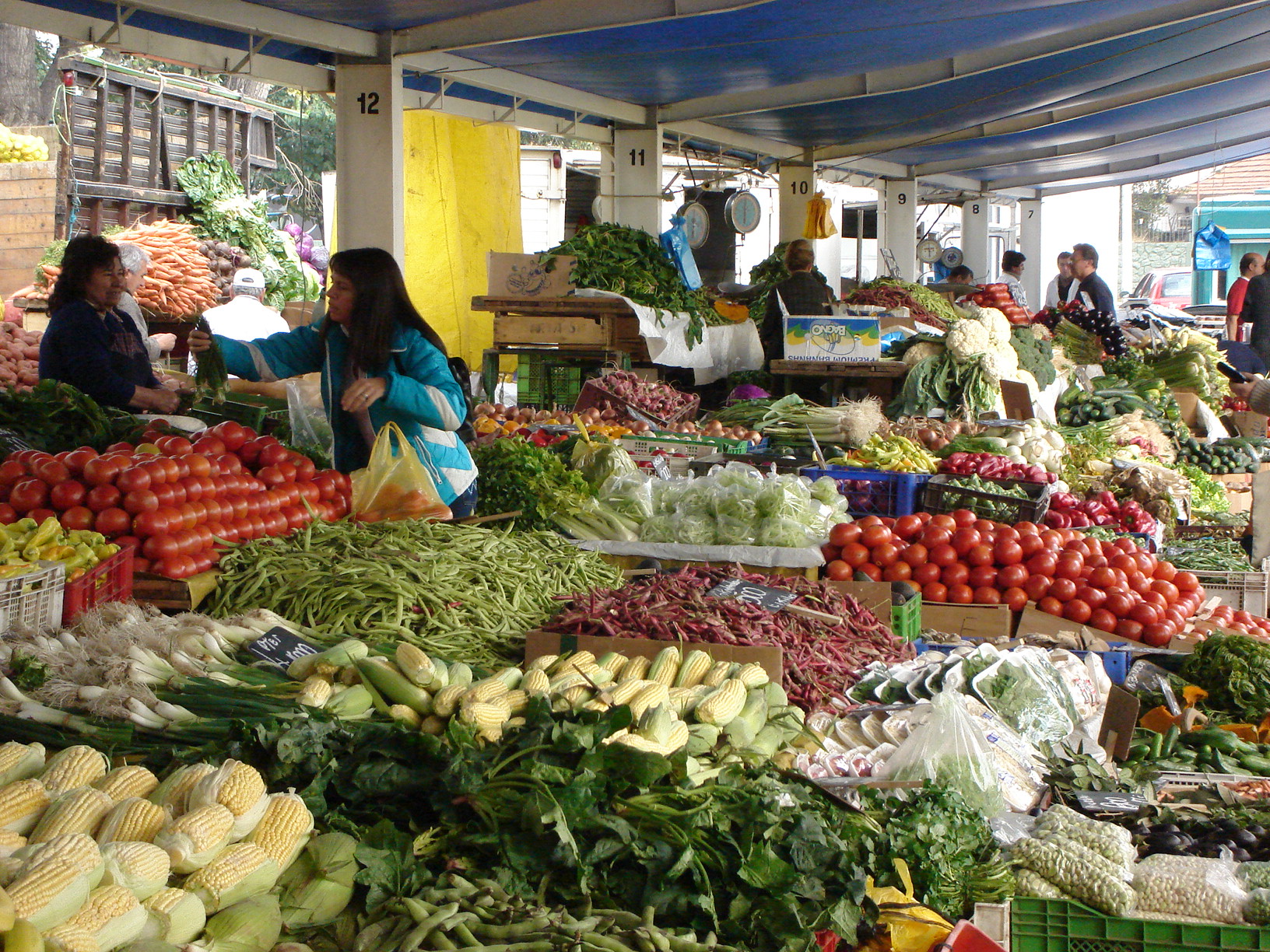 Los mercados sociales y circuitos socioeconómicos en agenda para la reconstrucción económica