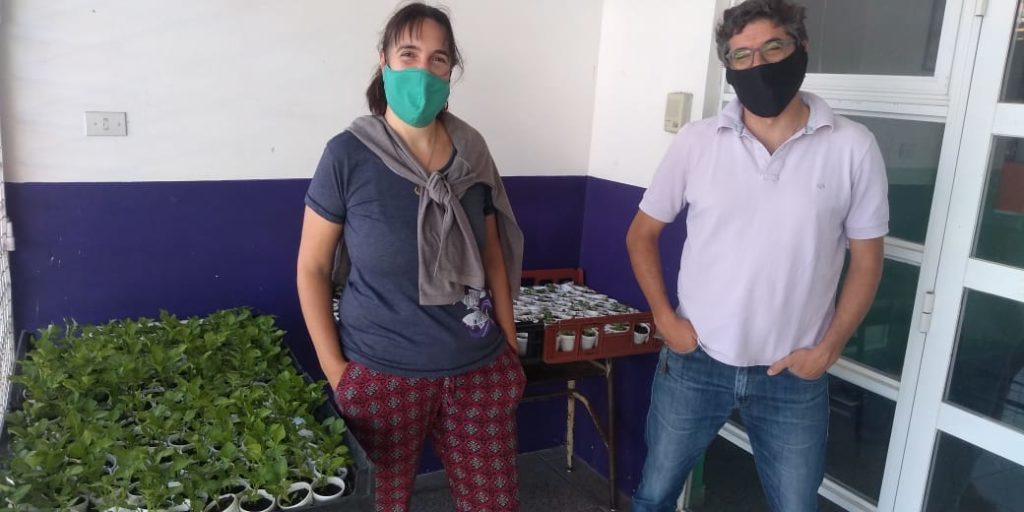 Escuela regala plantines para promover soberanía alimentaria