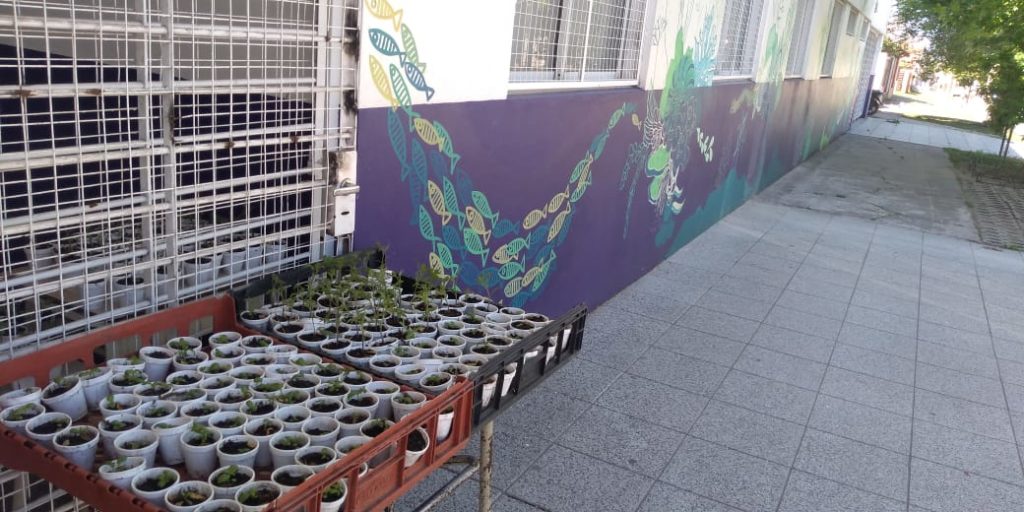 Escuela regala plantines para promover soberanía alimentaria