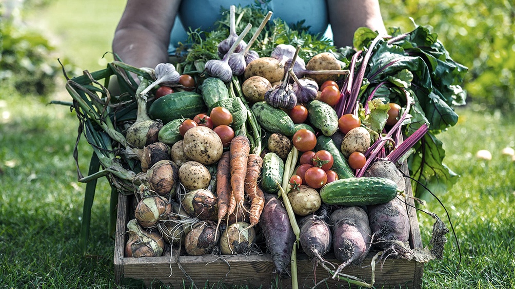 Todos comen: alimentos populares para todo el país