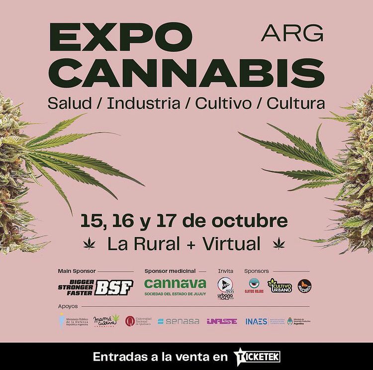 Más de tres mil personas buscan formar cooperativas cannábicas