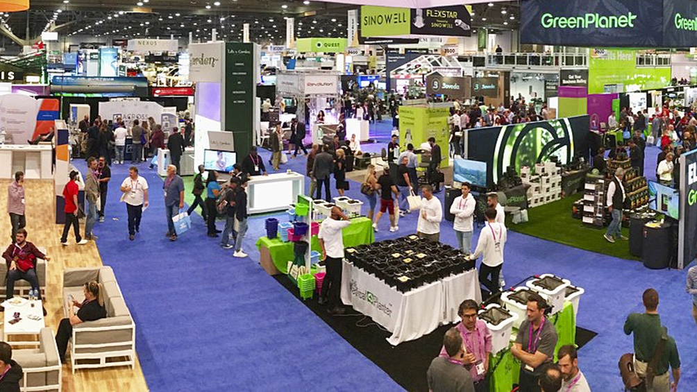 Más de tres mil personas buscan formar cooperativas cannábicas
