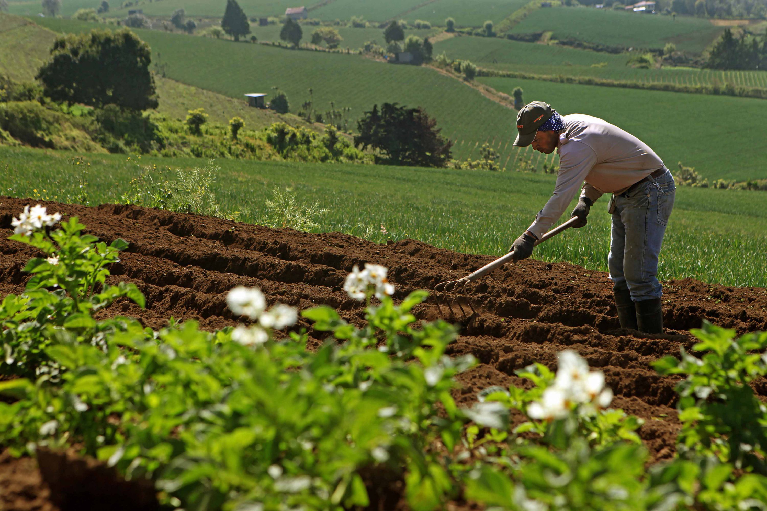 Impulsan una campaña para visibilizar a los pequeños productores cooperativos