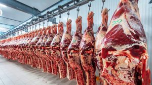 carne