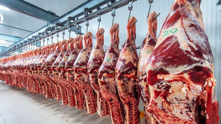 carne