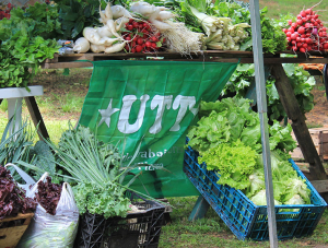UTT