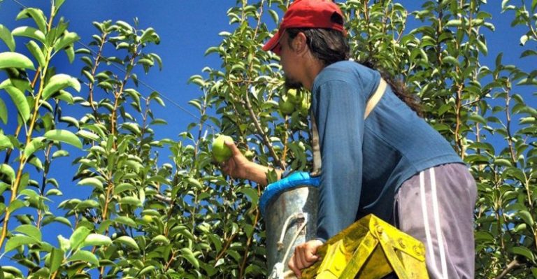Patagonia: Establecen nuevos circuitos comerciales para productores locales