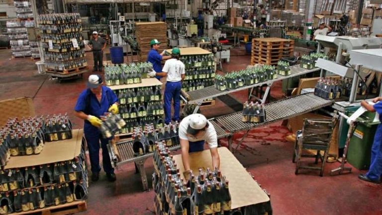 Vendimia 2022: Habrá créditos por 1500 millones de pesos para cooperativas mendocinas