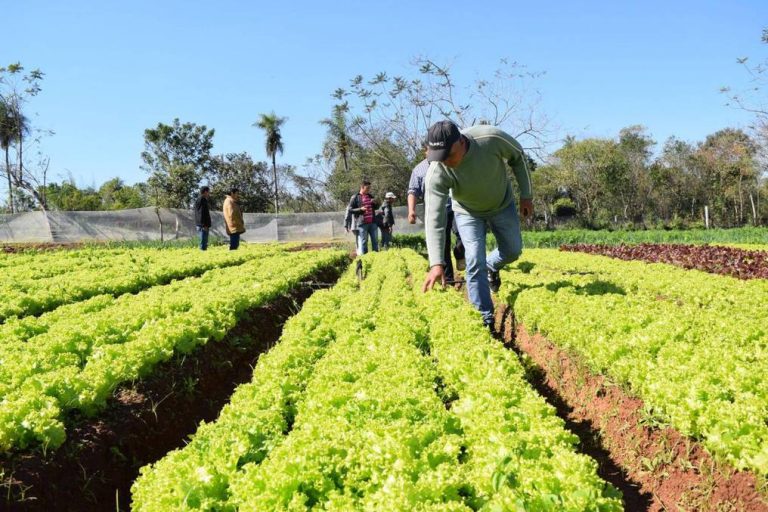Mutuales: Más de 3.000 podrán acceder a subsidios para la producción