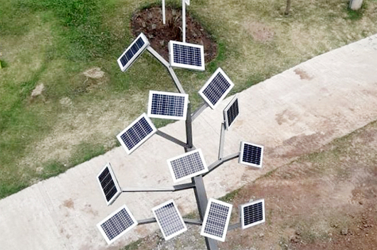 Tres cooperativas instalarán “árboles solares” en cincuenta puntos del país