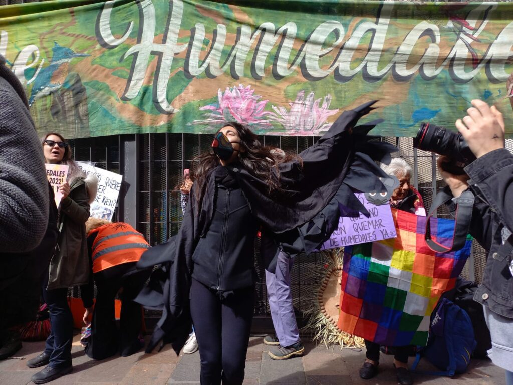 Organizaciones sociales y ambientales se manifestaron por la Ley de Humedales consensuada
