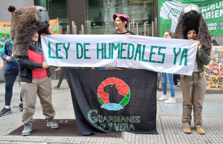 humedales