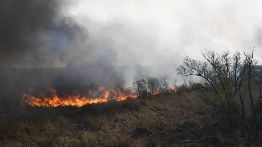 El CELS denunció que los incendios de humedales del Delta son provocados por sectores empresarios