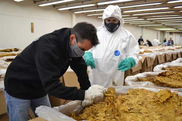 Cooperativas de exportación: en el primer semestre del 2022 vendieron por casi 2 mil millones de dólares