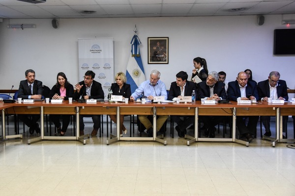 Diputados empezó a tratar el proyecto de Coninagro para "convertir los planes sociales en trabajo"