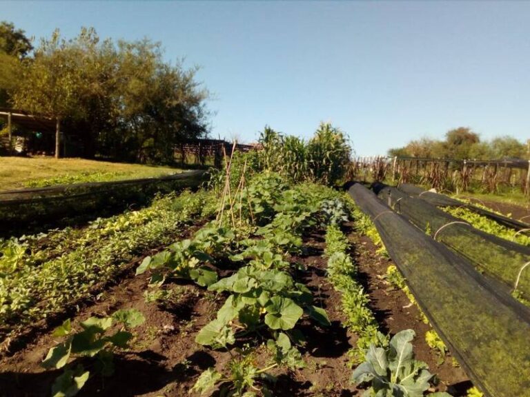 Lanzan una nueva edición de CoopAr, el programa de apoyo a cooperativas agroindustriales