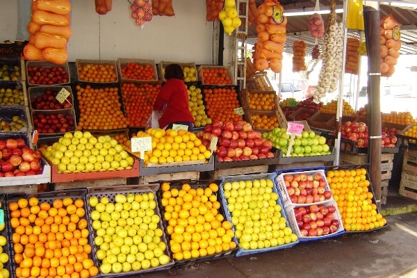 Consejo Económico y Social: crean una Mesa Alimentaria integrada por mercados locales y comunitarios