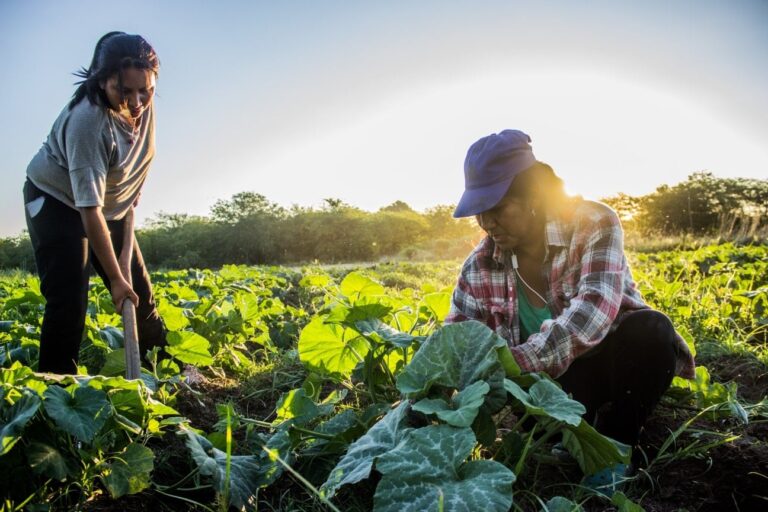 Asociación de Mujeres de la Tierra: "Ninguna política pública apunta a la mujer rural"