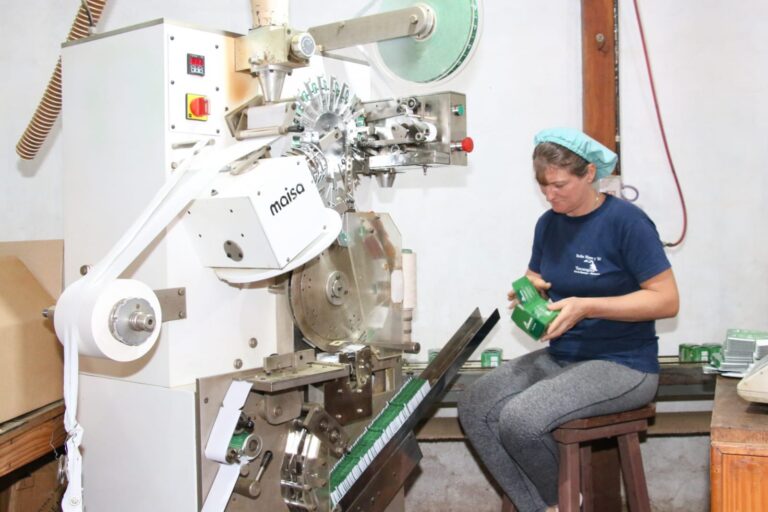 La cooperativa Agrícola Ruiz de Montoya es la primera en utilizar energía solar