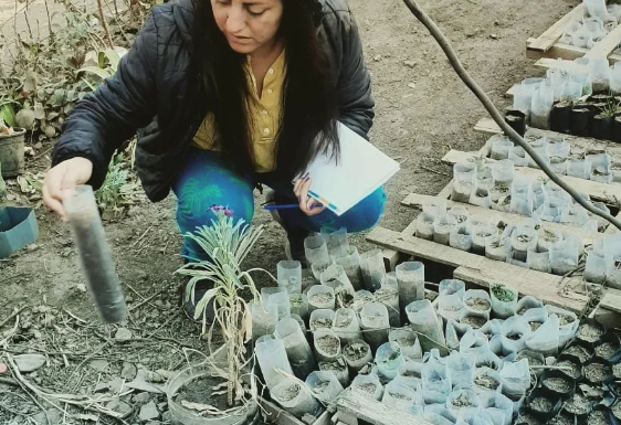 En Polinesias, Villa Allende, una cooperativa de mujeres busca soluciones laborales y ambientales