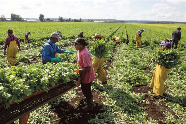 Nueva convocatoria para el proyecto que fortalece a cooperativas agropecuarias bonaerenses