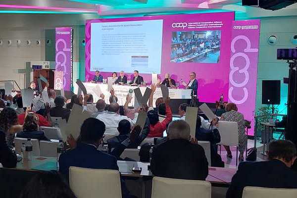 Día de las cooperativas 2023