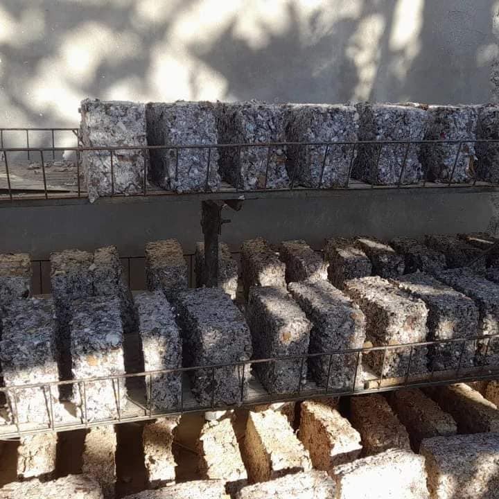 Llamas Patagónicas: combustible sustentable para personas sin hogar en Puerto Madryn