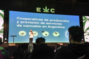 cooperativa cannabica