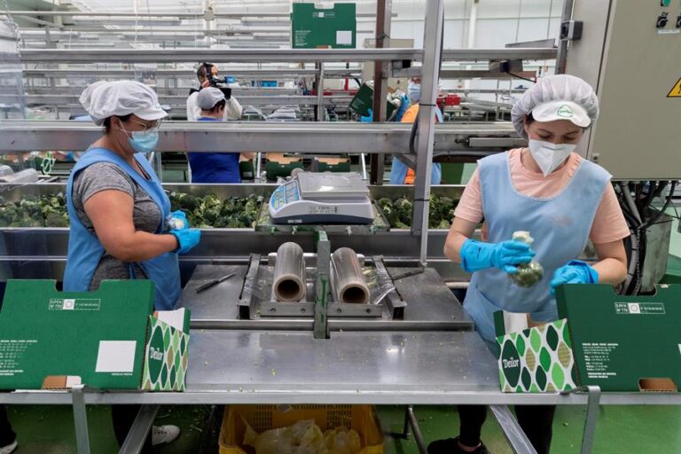 Programa Producir Comunidad 2023: las cooperativas y mutuales ya pueden acceder a financiamiento