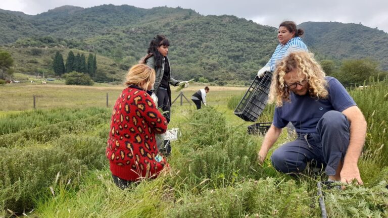 Flor de Laburo, una cooperativa villera con trabajo agroecológico e integrador