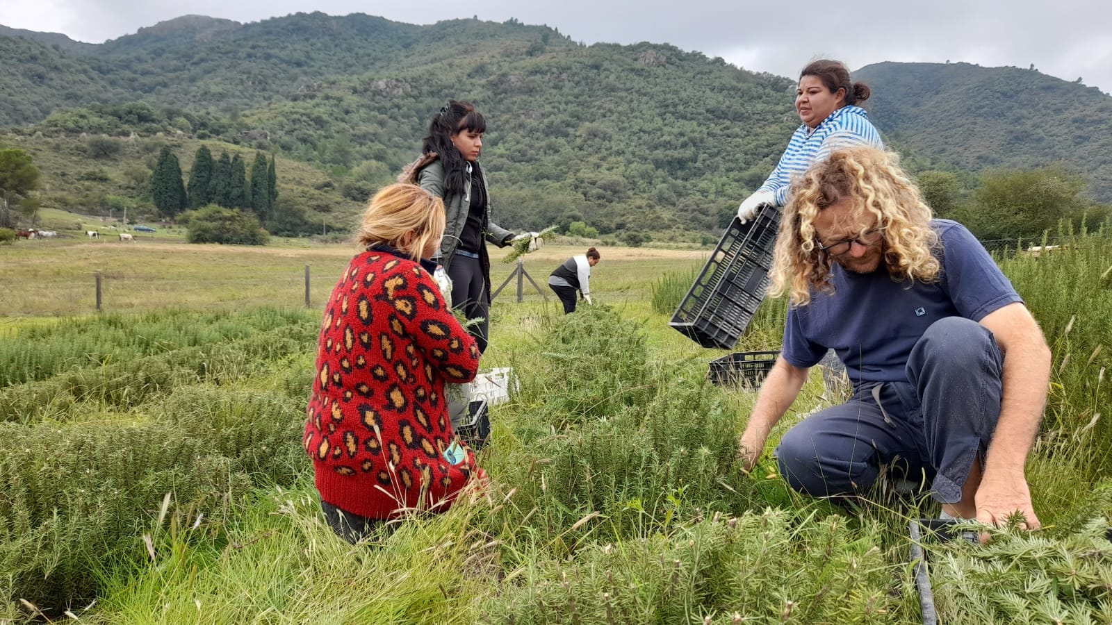 Flor de Laburo, una cooperativa villera con trabajo agroecológico e integrador