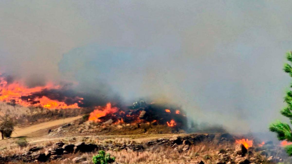 Incendios en Córdoba: la respuesta de las cooperativas para que la gente vuelva a tener electricidad