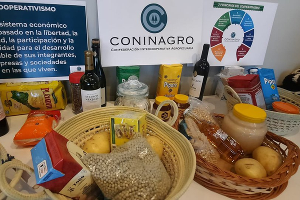 Coninagro insiste por su proyecto para crear 825 mil empleos en los próximos diez años