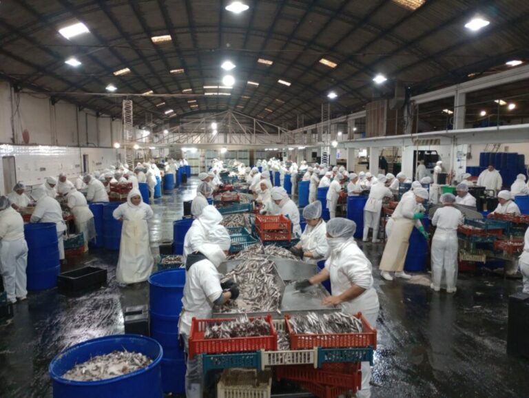 Cooperativa de Quequén busca expropiar la fábrica para sostener el trabajo de 250 mujeres