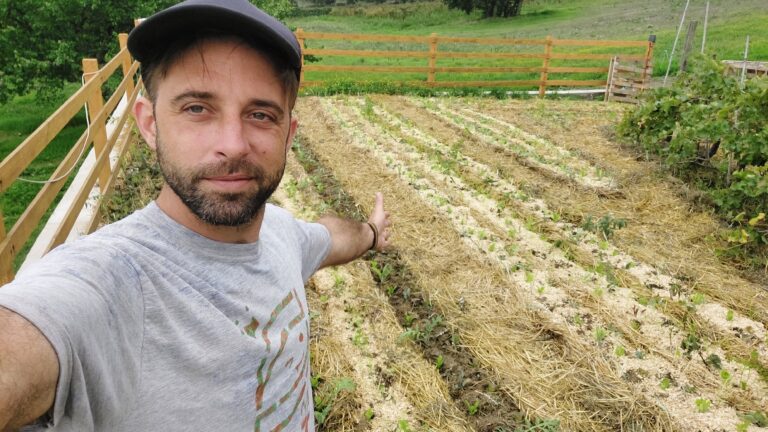¿Qué es la agrofloresta? La experiencia de una cooperativa de Misiones