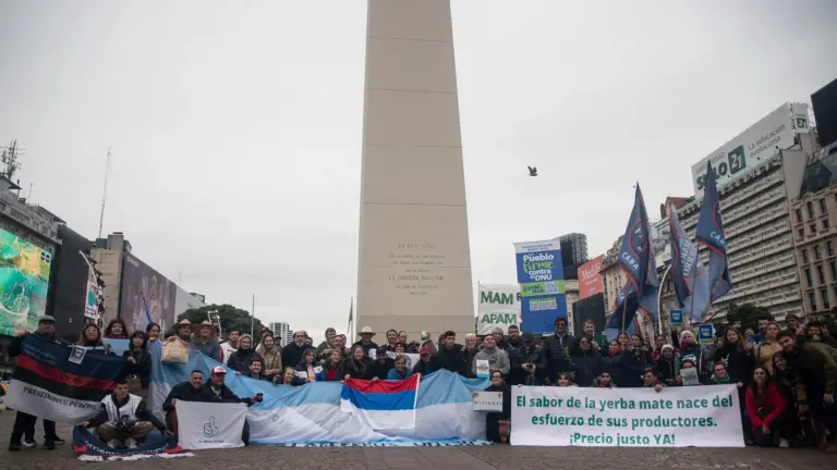 Crisis yerbatera: tras el DNU de Milei, los productores reciben menos del 10% de lo que sale un paquete