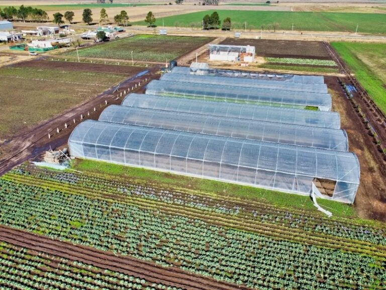 Para las cooperativas agropecuarias la baja de retenciones "es insuficiente"