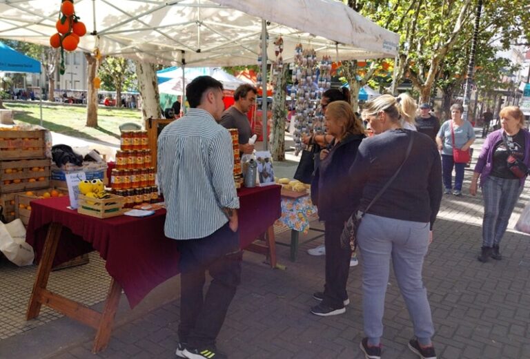 mercado de la tierra