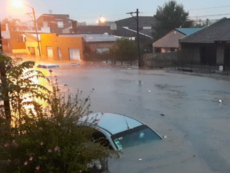 Temporal en Bahía Blanca: "es un desastre", aseguran desde las cooperativas