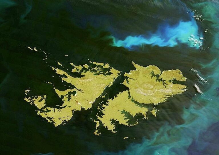 Las Malvinas son Argentinas: producciones de cooperativas sobre la Guerra