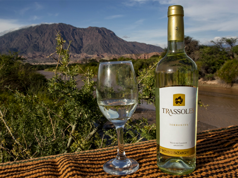 Festival del Vino en Cafayate: degustaciones y premios por los 25 años de la Cooperativa Trassoles