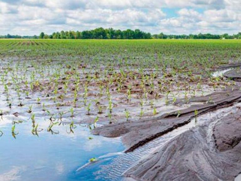Presencia de CONINAGRO: la Mesa de Enlace expresó su solidaridad con los inundados